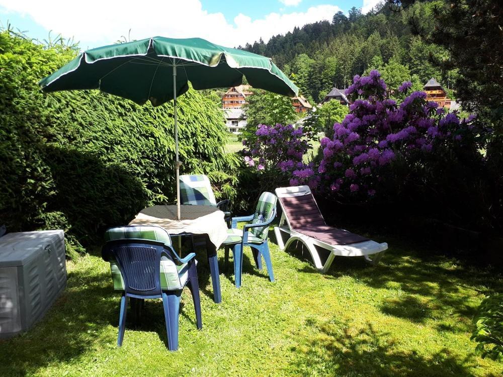 Gaestehaus Lickert Familie Dreher Hinterzarten Dış mekan fotoğraf
