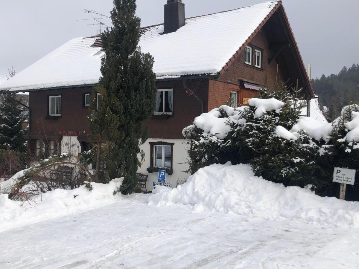 Gaestehaus Lickert Familie Dreher Hinterzarten Dış mekan fotoğraf